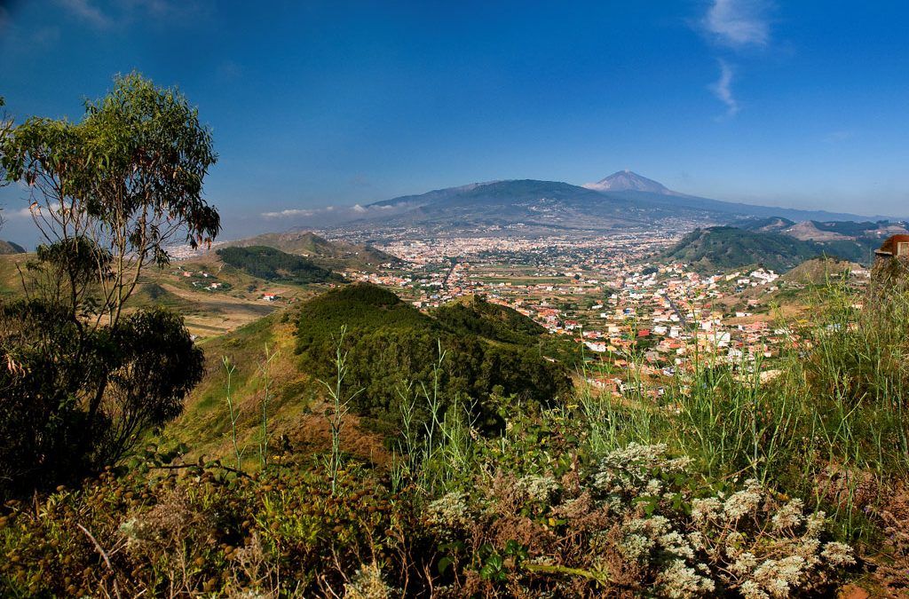 Monte de las Mercedes